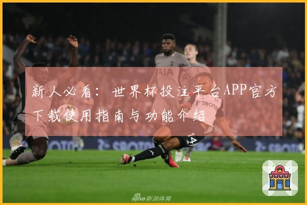 新人必看：世界杯投注平台APP官方下载使用指南与功能介绍