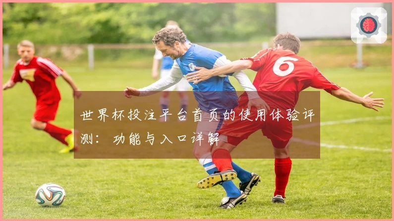 世界杯投注平台首页的使用体验评测：功能与入口详解