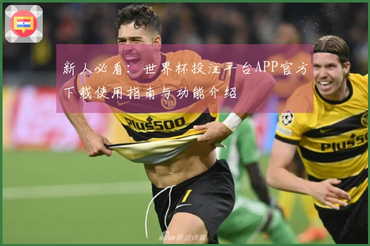 新人必看：世界杯投注平台APP官方下载使用指南与功能介绍
