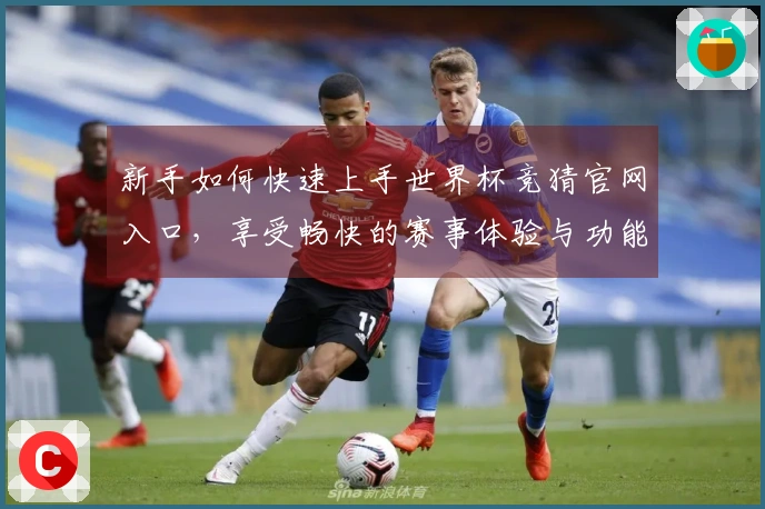 新手如何快速上手世界杯竞猜官网入口，享受畅快的赛事体验与功能介绍