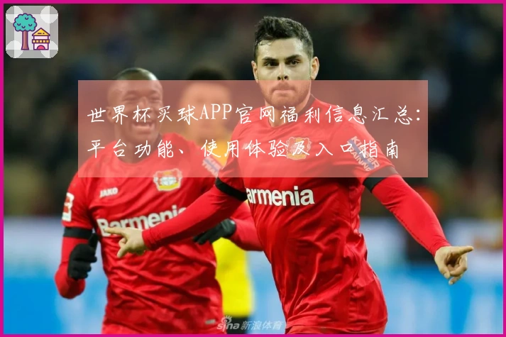 世界杯买球APP官网福利信息汇总：平台功能、使用体验及入口指南