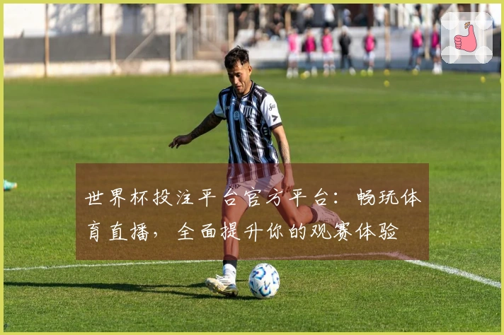 世界杯投注平台官方平台：畅玩体育直播，全面提升你的观赛体验