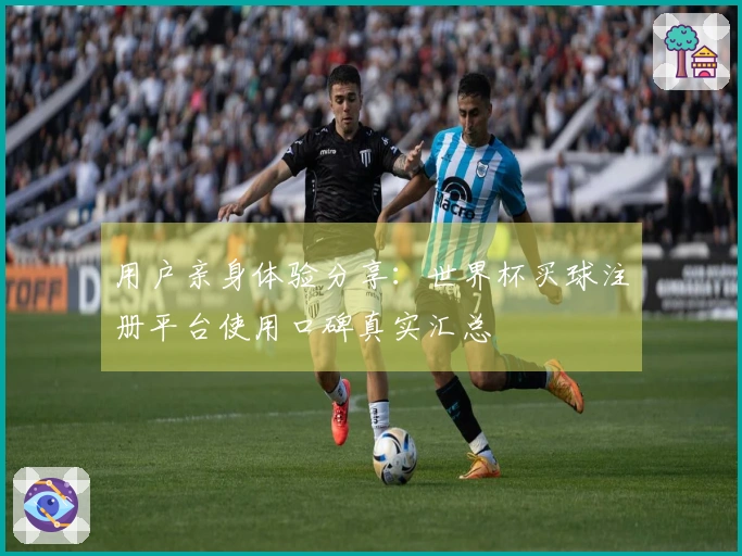 用户亲身体验分享：世界杯买球注册平台使用口碑真实汇总