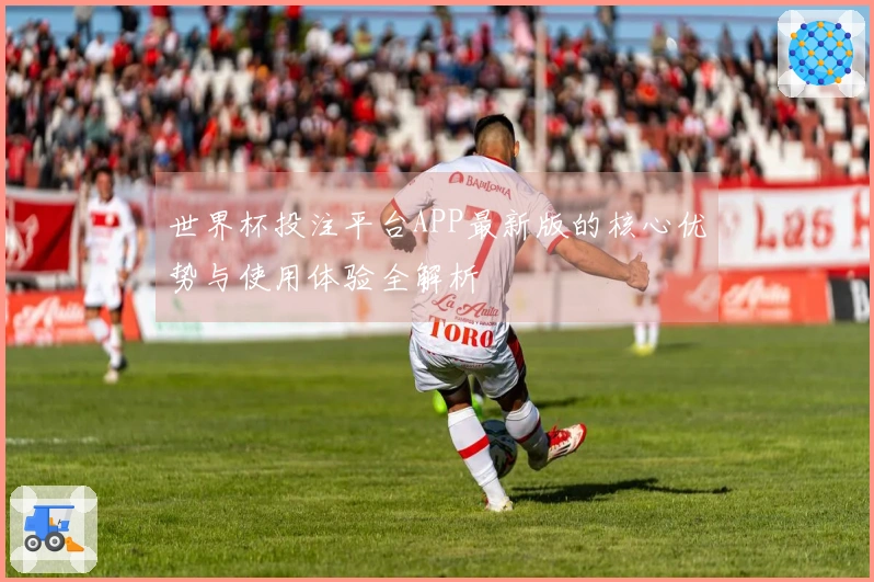 世界杯投注平台APP最新版的核心优势与使用体验全解析