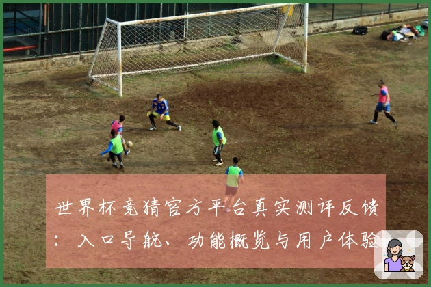 世界杯竞猜官方平台真实测评反馈：入口导航、功能概览与用户体验全解析